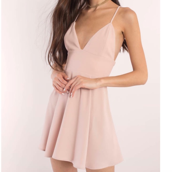 rose skater dress